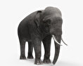 Asian Elephant 3d model