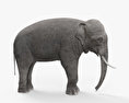Asian Elephant 3d model