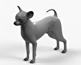 Chihuahua Modello 3D