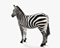 Zebra Modello 3D