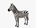 Zebra HD 3d model