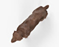 래브라도 리트리버 초콜릿 3D 모델 