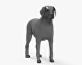 Labrador Retriever Schokolade 3D-Modell