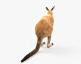 Kangaroo HD 3d model
