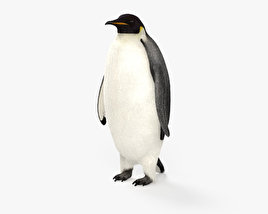Пінгвін імператорський 3D модель
