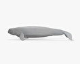 Beluga Whale HD 3d model