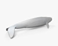 Beluga Whale HD 3d model
