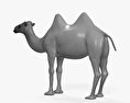 Camel HD 3d model