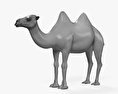 Camelus Modelo 3D