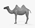 Camel 3d model
