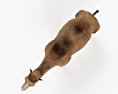 Camel 3d model