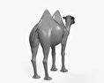 낙타 3D 모델 