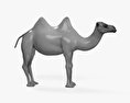 Camelo Modelo 3d