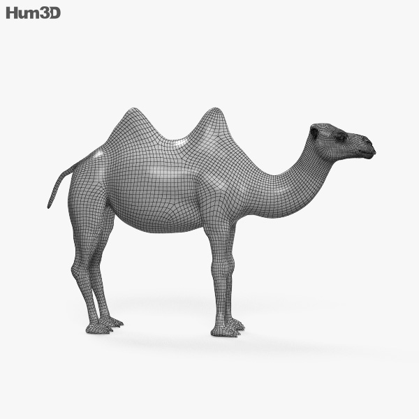 ラクダ 3dモデル 動物 On Hum3d