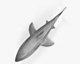 Great White Shark HD 3d model