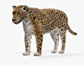 Jaguar Modelo 3D