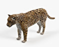 Giaguaro Modello 3D