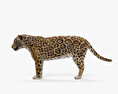 美洲豹 3D模型