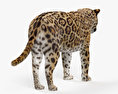 美洲豹 3D模型