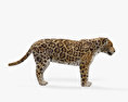 Jaguar HD 3d model