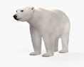 Orso polare Modello 3D