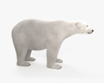 Orso polare Modello 3D