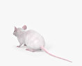 Mouse White HD 3d model