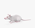 ホワイトマウス 3Dモデル