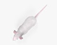 ホワイトマウス 3Dモデル
