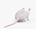 Rato branco Modelo 3d