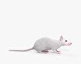 Weiße Maus 3D-Modell