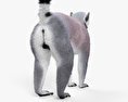 环尾狐猴 3D模型