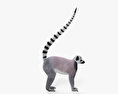 Ring-Tailed Lemur HD 3d model