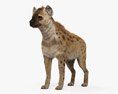 Spotted Hyena HD 3d model