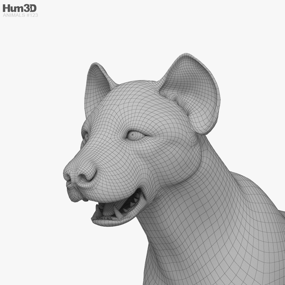 Animated Spotted Hyena 3D model - Animals on Hum3D