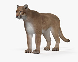 Puma 3D-Modell