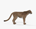 美洲狮 3D模型