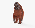 Orangutan Modello 3D