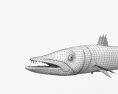 梭子魚 3D模型