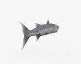 梭子魚 3D模型