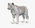 Weißer Tiger 3D-Modell
