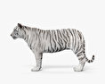 Tigre blanco Modelo 3D