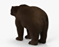 Grizzly Bear 3d model