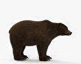 Grizzly Bear HD 3d model