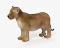 Lion Cub HD 3d model
