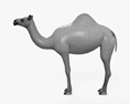 Верблюд одногорбий 3D модель