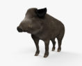野豬 3D模型