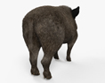 Wild Boar HD 3d model