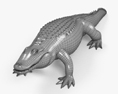 Alligator HD 3d model