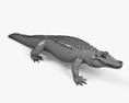 Alligator Modèle 3d